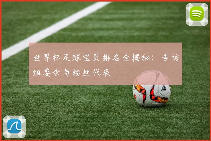 世界杯足球宝贝排名全揭秘:专访组委会与粉丝代表