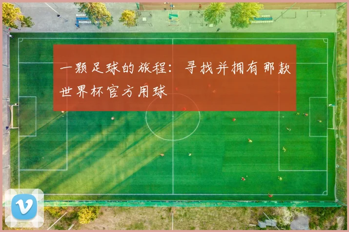 一颗足球的旅程：寻找并拥有那款世界杯官方用球