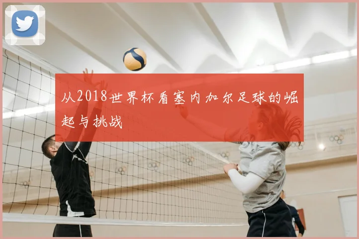 从2018世界杯看塞内加尔足球的崛起与挑战