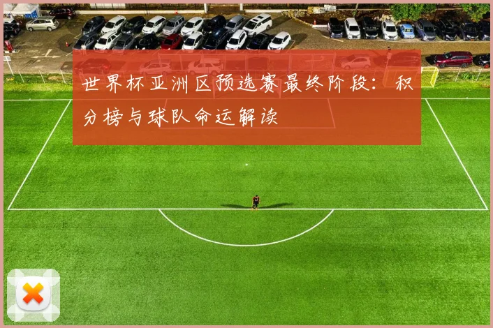 世界杯亚洲区预选赛最终阶段:积分榜与球队命运解读